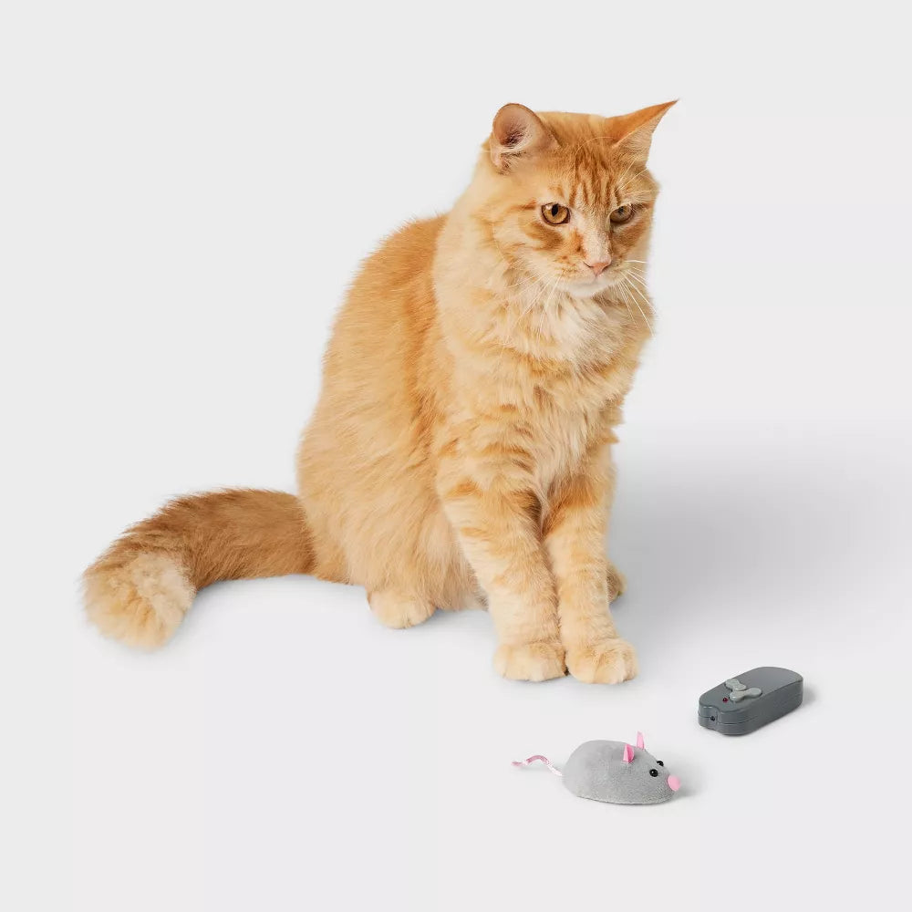 Remote Control Electronic Chasing Mouse Cat Toy With Pre-installed Batteries